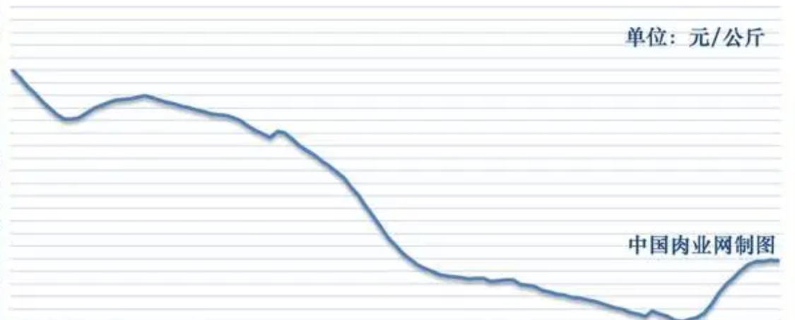 规则讲解-羊肉“崩”了！2月4日跌破11元，卖羊还是留着过年？答案来了